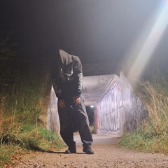 sl9