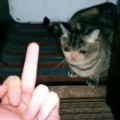 Tos Tos got a big nose nose