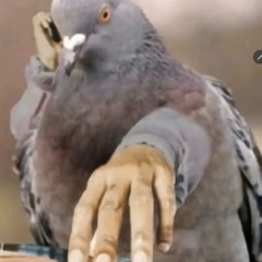 yes