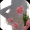 Farah_k37