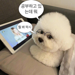 그냥 이름