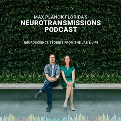 Max Planck Florida's Neurotransmissions