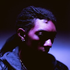 SkyFlxmingo