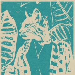 luma