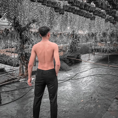 Mạnh Cường