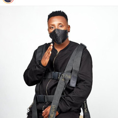 Gambeta_Flock