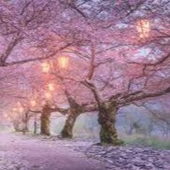 نورهان راجح