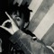 jay