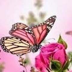 Sabra Fayyaz
