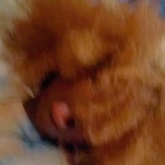 sad person in a sad world