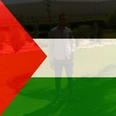 حسام ثابت
