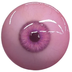 eye$.Bab¥