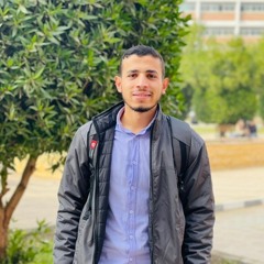 محمد سيد