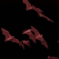 goreshit