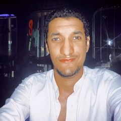 mr. Abdelhamed Ahmed