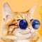 coolkat