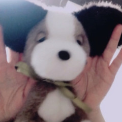 inuyoshi