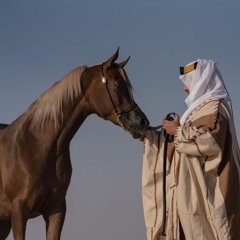 Tariq Alanizi