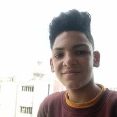 قاسم هشام امين