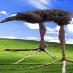 UrAverageEmo