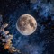 Lune's Umbra