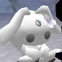 333.chao