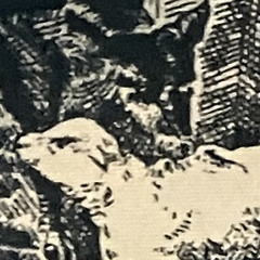 ZOKO