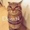 Doge3k