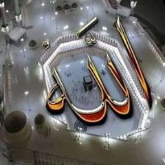 Shiry Adam