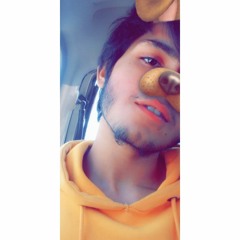 ansii malik