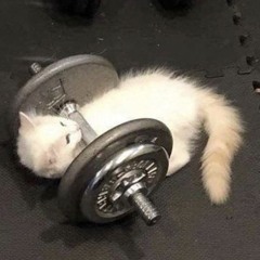 Osia in Gym