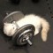 Osia in Gym