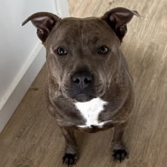 Jacinta C Lucinda Andreasen