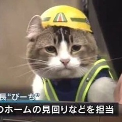 アリツ
