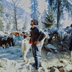 Arjun Av