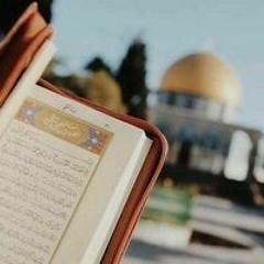 سهيله هاني