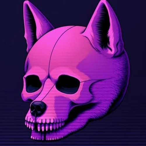 phonkdoge’s avatar