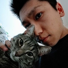 Violin Sonata No. 1 in G major, Op. 78, Johannes Brahms