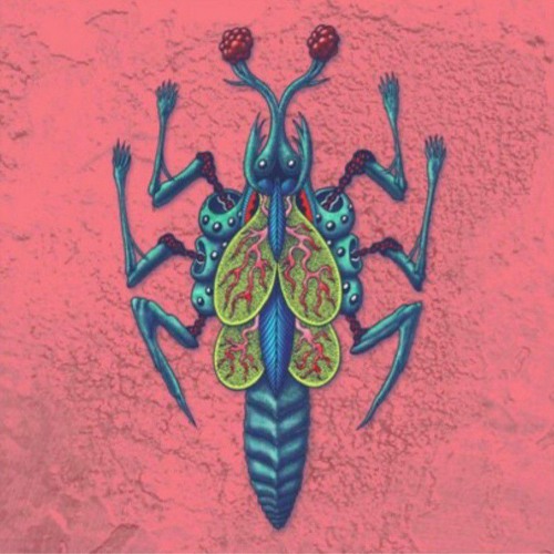 Beetlebvb’s avatar