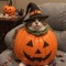 Pumpkin!
