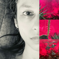 Shilpi Gupta (silverness)