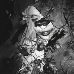 fester witch
