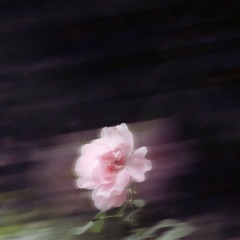 DreamWRLD