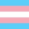 A Trans Dude