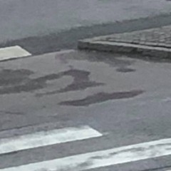 HOS