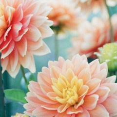 maeli 💐💐💐