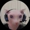 BINGUS GAMER