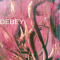 Jesio Debey