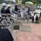 Mất Quan Điểm