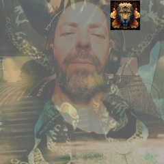 Meditate medicine (Cosmic Zygote)